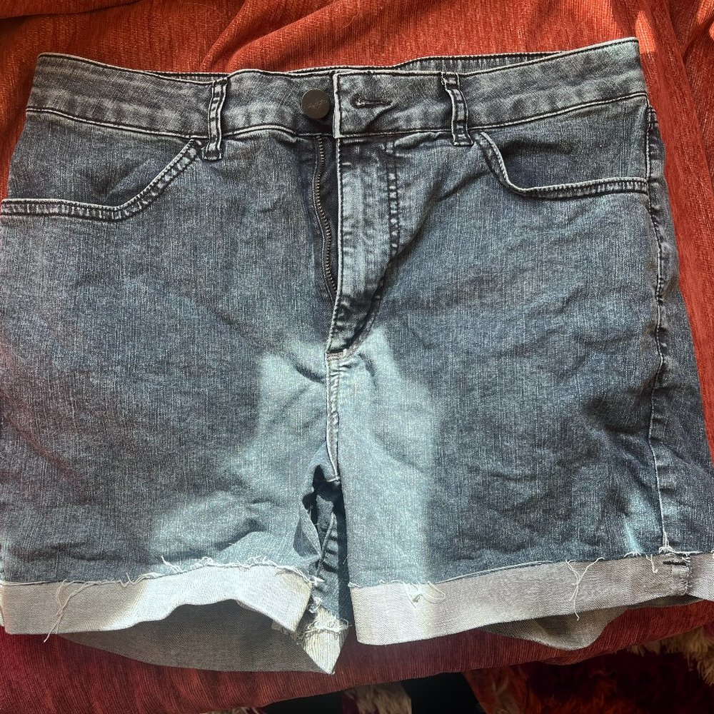 Ripton Jorts Size 31
